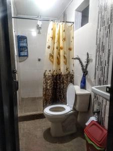 a bathroom with a toilet and a shower curtain at My second house in Manizales +18 photos