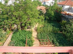 Zahrada ubytování Apartments Dragan