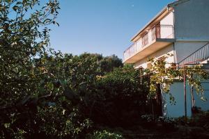 Zahrada ubytování Apartments Dragan