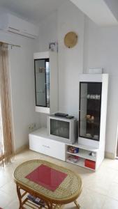 TV a/nebo společenská místnost v ubytování Apartment Pava