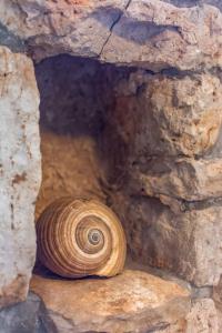 Fotografie z fotogalerie ubytování House Stone v destinaci Babino Polje