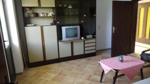 TV a/nebo společenská místnost v ubytování Apartment Pava