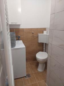Koupelna v ubytování Apartman Ždralović