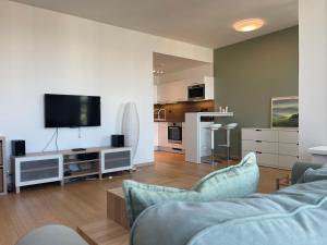 un salon avec un canapé et une télévision à écran plat dans l'établissement SAG 28 floor Panrama city free parking free wifi, à Bratislava