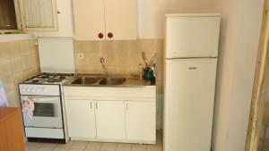 Kuchyň nebo kuchyňský kout v ubytování Apartment Pava