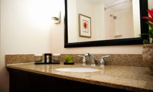 Embassy Suites by Hilton Memphis East Germantown Area的一间浴室
