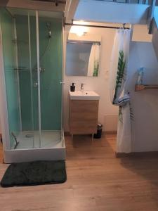une salle de bain avec douche et lavabo dans l'établissement Studio Hyper centre, quartier historique, à La Rochelle
