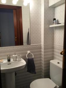 a bathroom with a sink and a toilet and a mirror at El mirador in Suances +21 photos