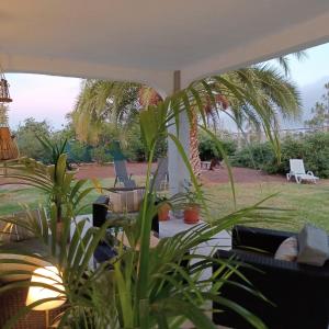 Zahrada ubytování Cottage Gran Canaria completely renovated with Jacuzzi
