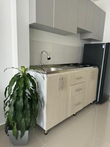 cocina con fregadero y maceta en Apartamentos Cartagena Acuarium, en Cartagena de Indias