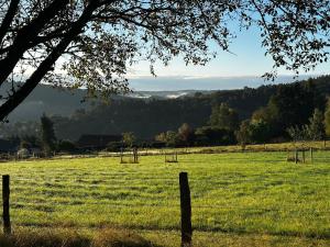 a field of grass with a fence in the foreground at Ferienwohnung Miesseler in Kall