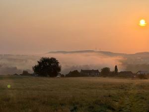 a foggy field with the sun setting in the background at Ferienwohnung Miesseler in Kall
