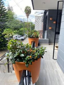 Un jardín fuera de HABITACION 2 Fatima
