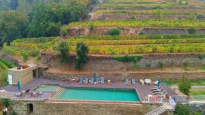 an aerial view of a swimming pool and a vineyard at Quinta de Travassinhos- Douro Valley & Spa in Santa Marta de Penaguião