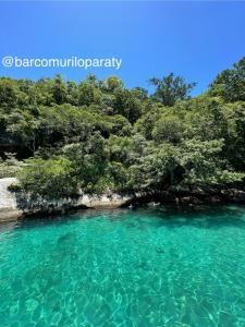 a blue pool of water with trees on the shore at Passeio de barco em Paraty in Paraty