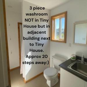 MervilleTiny house & Sauna on Lakefront Farm Oasis的浴室里有白色马桶和洗手池