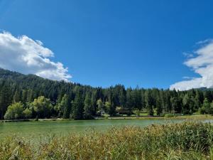 a view of a lake with trees in the background at Appartement Bergsee SUN - am Wildsee - atemberaubende Aussicht in Seefeld in Tirol