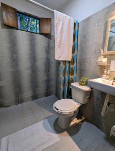 a bathroom with a toilet and a sink at Casa Aguazul in Campeche +29 photos