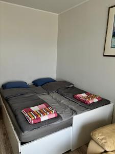 タルトゥにあるWellcome Jaama Apartmentの枕が2つ置かれたベッド