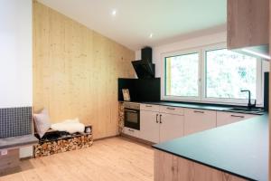 Kuhinja oz. manjša kuhinja v nastanitvi Nagelehof Apartment Bendelstein