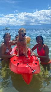 Hóspedes ficando em Pousada Canto do Mar Ilha Grande