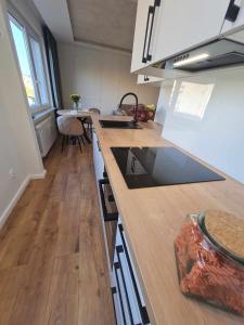 Η κουζίνα ή μικρή κουζίνα στο Apartament pod lasem