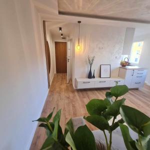 PionkiにあるApartament pod lasemのギャラリーの写真