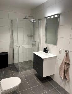 Ένα μπάνιο στο NEW Duplex Apartment Near the city with Free Private Parking