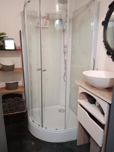 une salle de bain avec douche et lavabo dans l'établissement Pounette, appartement 2 chambres souplex villa Centre Thermes, à Luxeuil-les-Bains