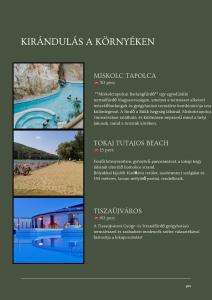 eine Broschüre für ein Kiwiana, ein kiwitisches Resort in der Unterkunft Furmint Home in Szegi