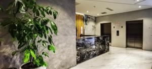 a potted plant in a lobby with a wall at MIRAFLORES CITY HOTEL in Lima