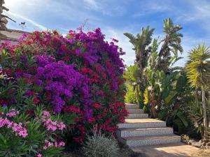 Zahrada ubytování Villa in Andalusia with Private Pool & Sea Views