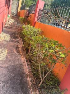 Billede fra billedgalleriet på Shadricks Homes i Spanish Town + 9 billeder