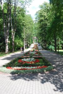 Vonkajšia záhrada v ubytovaní Apartament Parkowy w Polanicy Zdrój