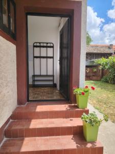 einer Haustür eines Hauses mit zwei Topfpflanzen in der Unterkunft STD Havela in Kovačica