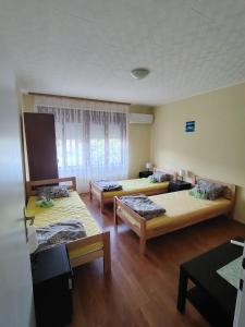 ein Zimmer mit drei Betten und einem Fenster in der Unterkunft STD Havela in Kovačica
