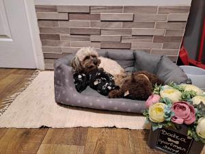 Bodza apartman 1 - Sarud 3386 Sarud, Szeder utca kép - 2