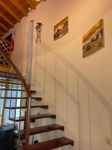 a staircase in a house with two pictures on the wall at Casa do Arco da Velha in Bragança +13 photos