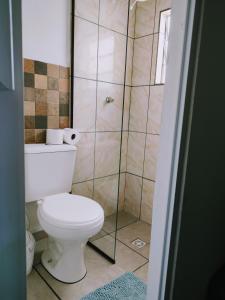 a bathroom with a toilet and a shower at Minha casa pousada in Botucatu
