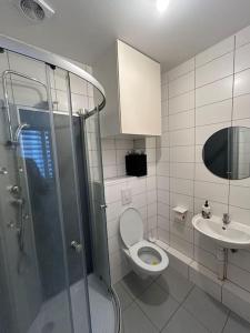een badkamer met een douche, een toilet en een wastafel bij Studio proche du centre-ville in Straatsburg