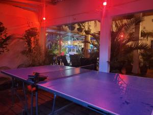 Stolní tenis v ubytování Hostal Hilltop Palomino nebo okolí