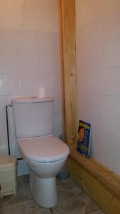 La salle de bains est pourvue de toilettes blanches et d'un livre. dans l'établissement Appartement Du Dou Des Ponts, à Pralognan-la-Vanoise 13 autres photos