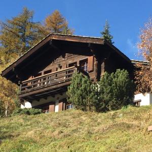 ein großes Holzgebäude auf einem Hügel mit Bäumen in der Unterkunft Chalet Annika in Grimentz