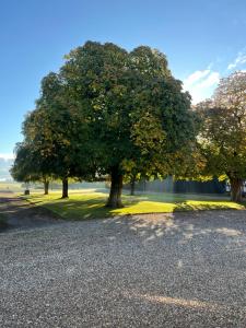 Paesaggio naturale nelle vicinanze dell'appartamento