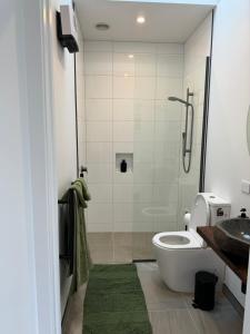 um banheiro com chuveiro, vaso sanitário e pia em Bellbird Hideaway em Pleasant Valley