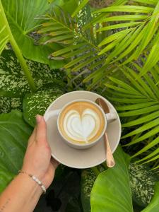 Foto sihtkohas Matara asuva majutusasutuse Surf Lodge Madiha galeriist