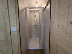 a bathroom with a shower with a glass door at Chalet rénové 12 pers, 5 ch, parking, poêle, sud-ouest - FR-1-342-321 in Beaufort +17 photos