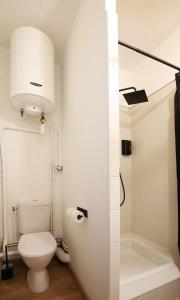 une salle de bain blanche avec toilettes et douche dans l'établissement Appartement hyper centre avec balcon, à Clermont-Ferrand 9 autres photos