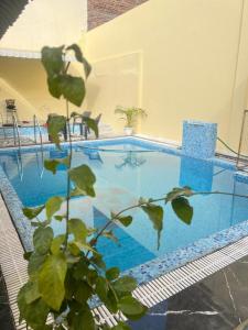 a swimming pool with a plant in front of it at Agariya Pool Villa near Lake pichola in Udaipur