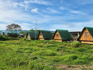 a group of wooden houses with green roofs at IZZY RIVERFRON RESORt in Mangatarem
